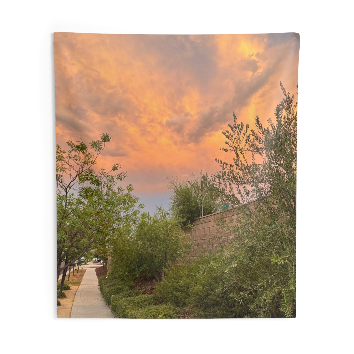 The Mailman’s Path - Indoor Wall Tapestries