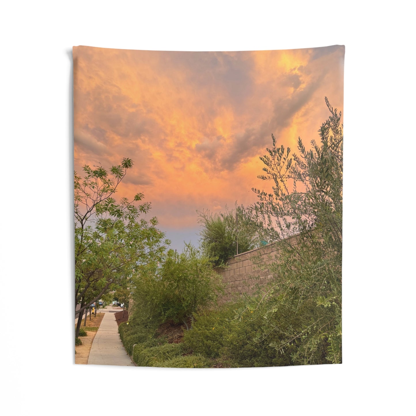 The Mailman’s Path -  Indoor Wall Tapestries