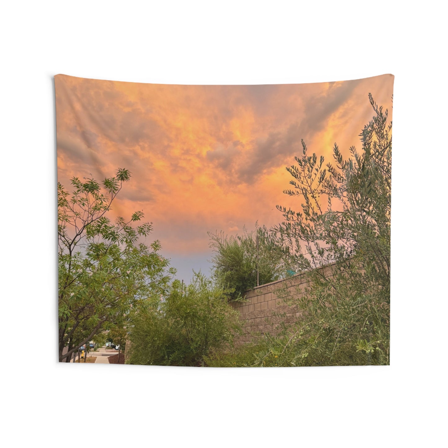 The Mailman’s Path -  Indoor Wall Tapestries