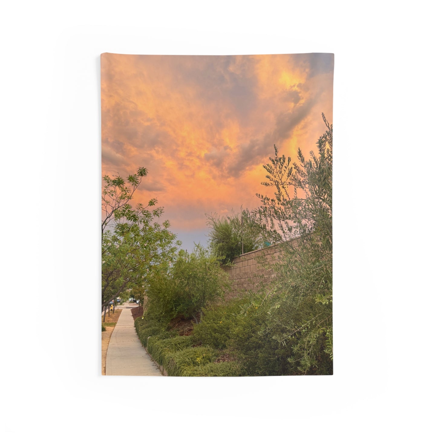 The Mailman’s Path -  Indoor Wall Tapestries