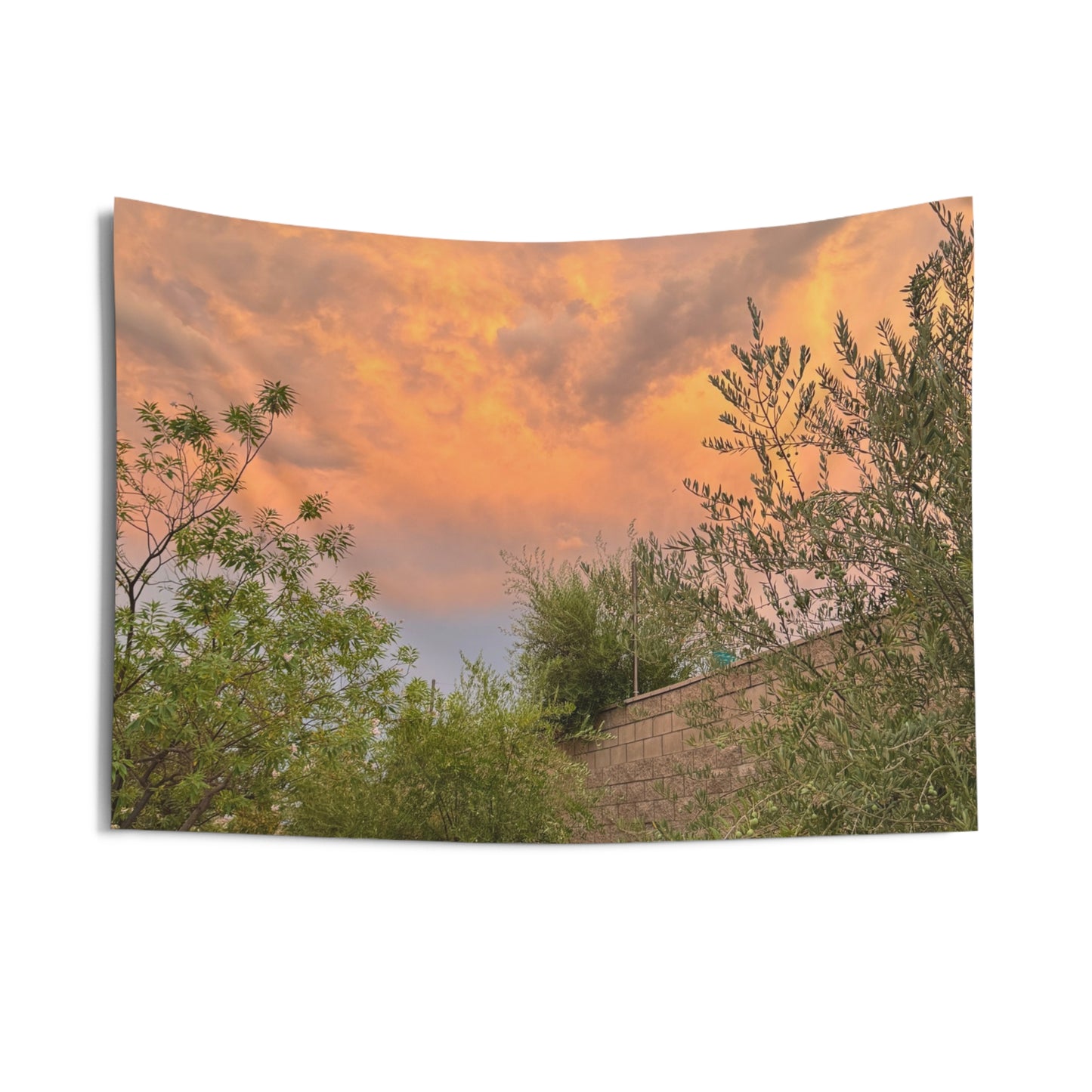 The Mailman’s Path -  Indoor Wall Tapestries