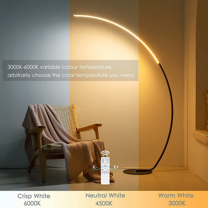 LED Modern Curve Floor Lamp